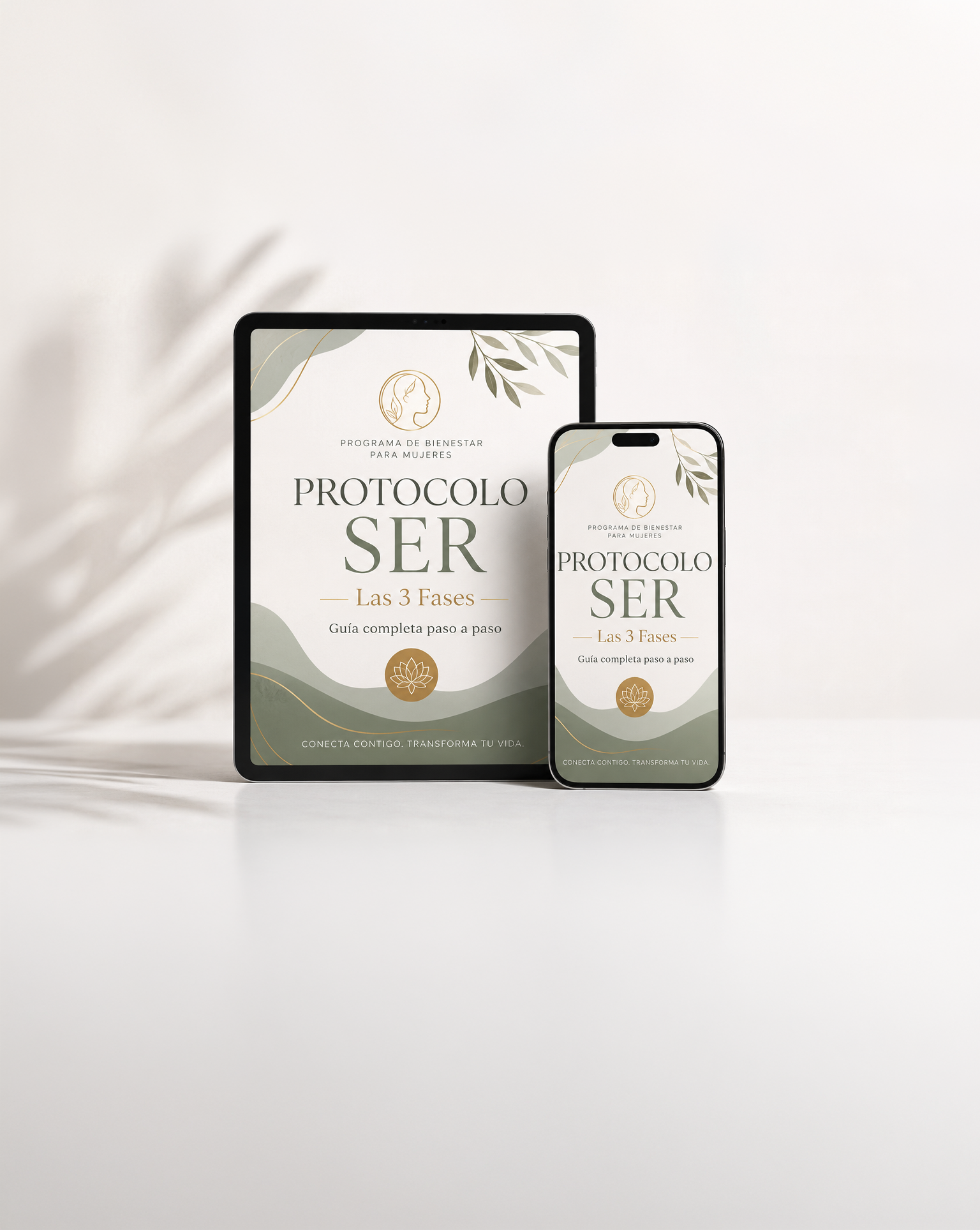 Protocolo SER · Las 3 Fases